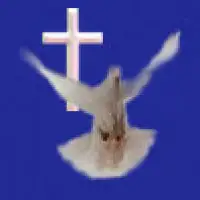 Bible Baptist Church | Bradenton, FL